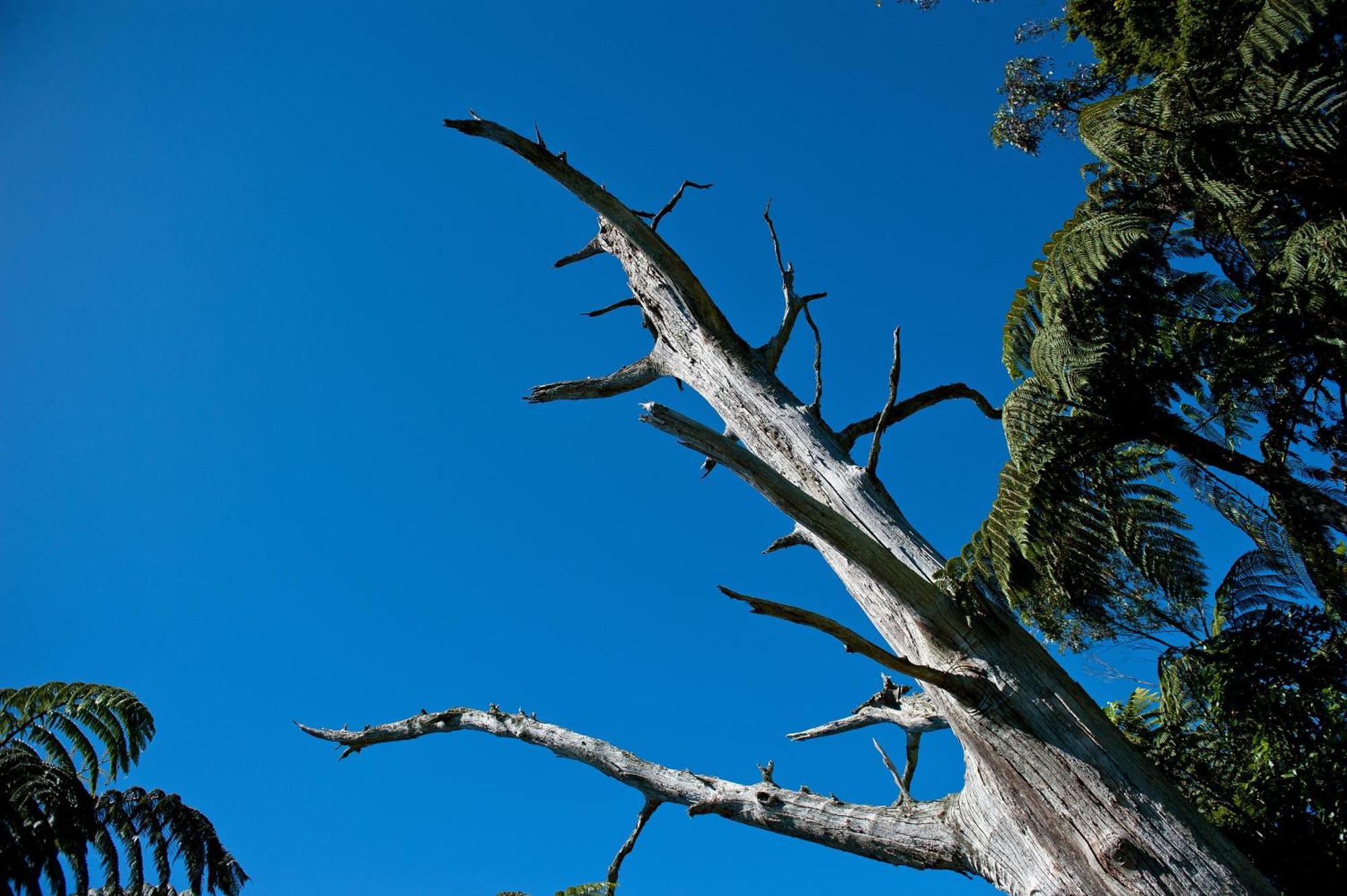 Oreti Village Resort Turangi Exterior foto